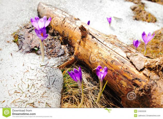 Народные приметы на март