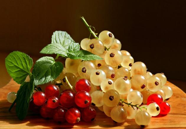 Красная и белая смородина