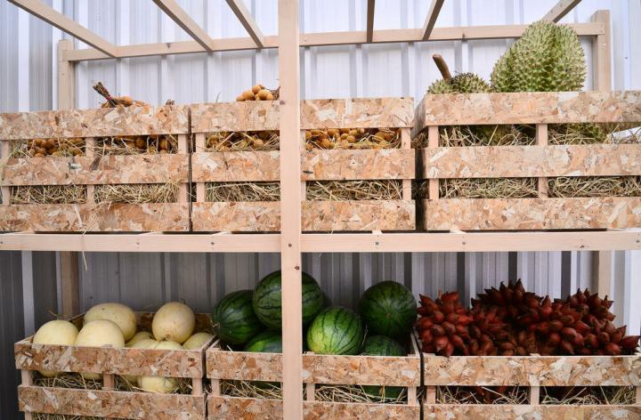 Правильное хранение овощей и фруктов