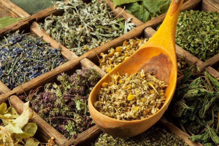 Волшебная сила целебных трав