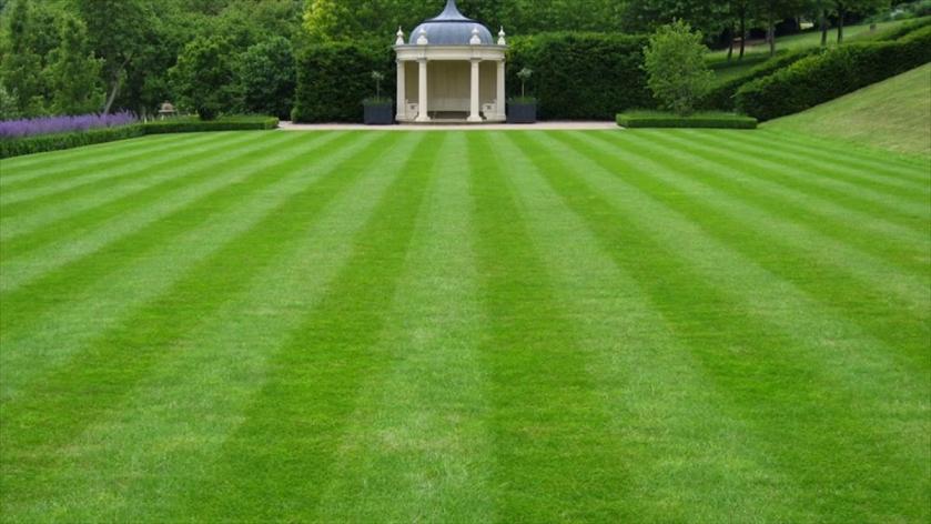 Что такое партерный газон?