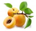 Абрикосы