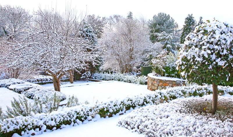 Важные дела, которые можно выполнить в саду в холодное время года