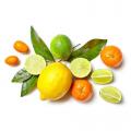 Цитрусы