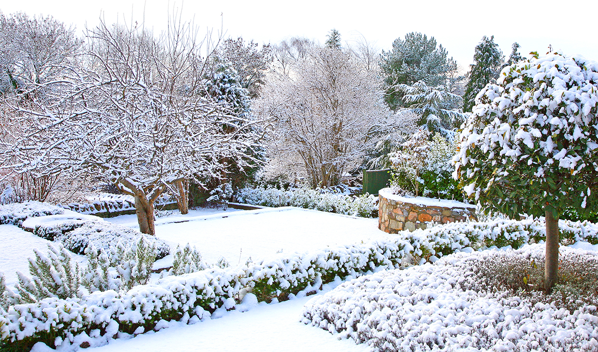 Важные дела, которые можно выполнить в саду в холодное время года Важные дела, которые можно выполнить в саду в холодное время года