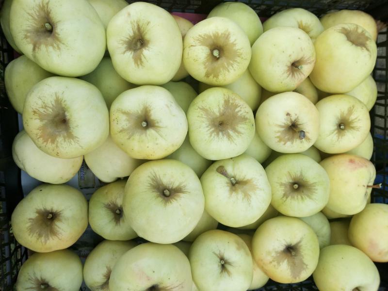 Антоновка - патриархат русского сада