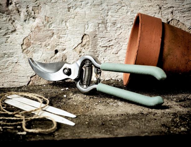 Как выбрать садовый секатор