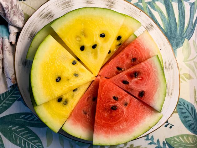 Выращиваем желтый арбуз на дачных грядках