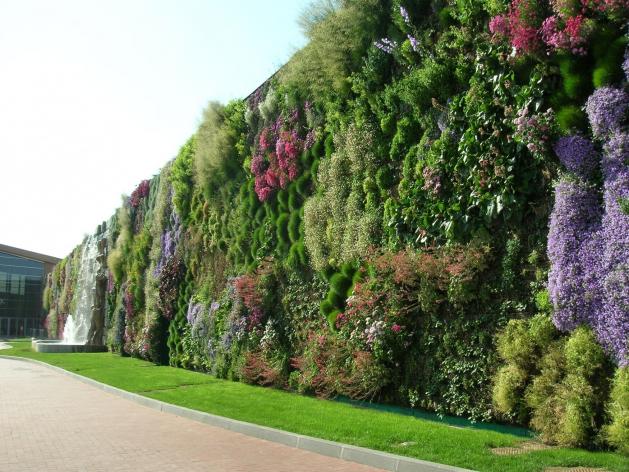 Вертикальное озеленение сада