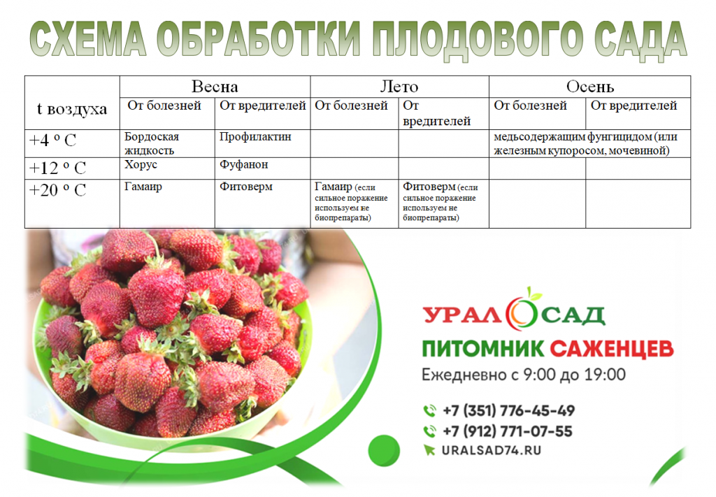 схема обработок .png