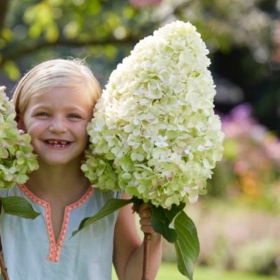 Геркулес (Hercules)