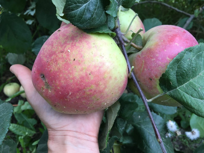 Краса Свердловска