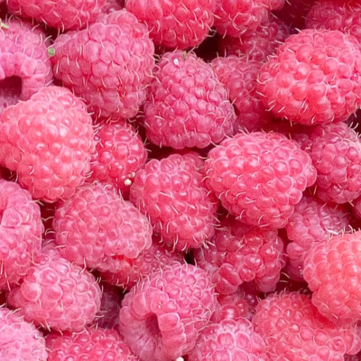 Новость Кузьмина