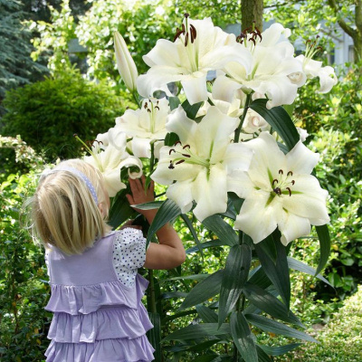 Притти Вумен