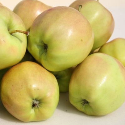 Брат чудного